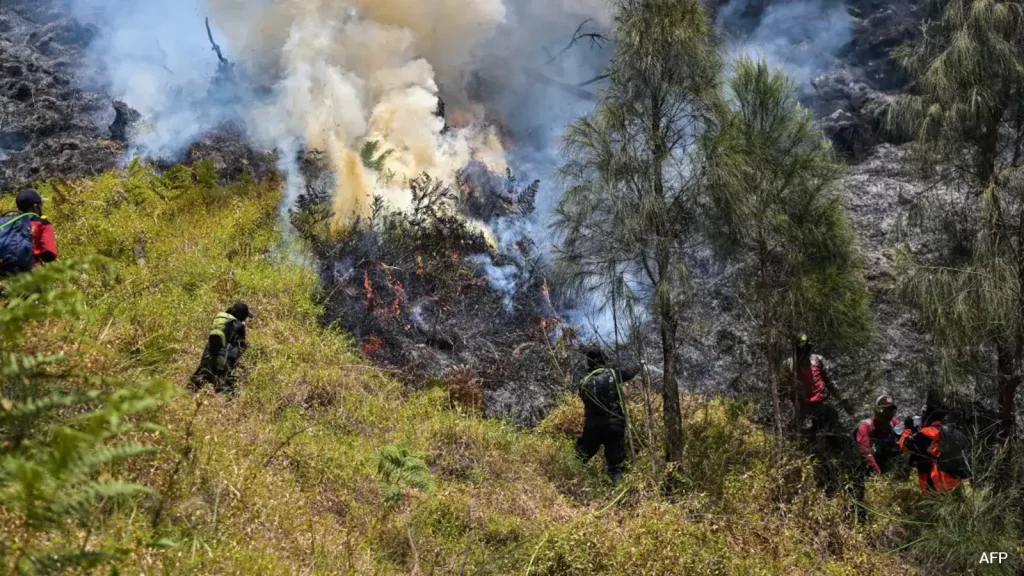 Indonesia Closes National Park As Wildfire Burns 435 Acres