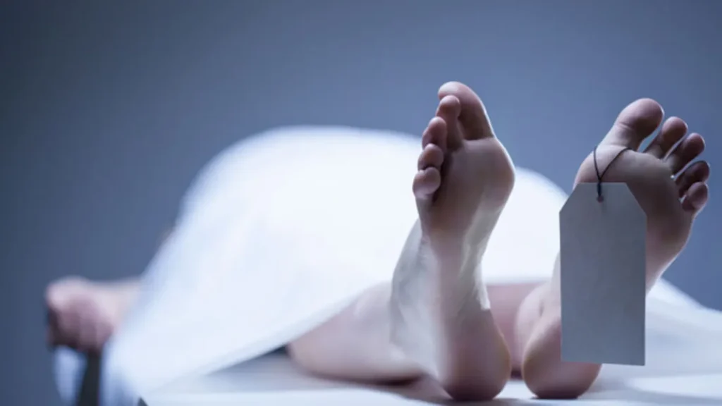 UK Man Kept Dead Mother In Freezer For 3 Years, Claimed Nearly Rs 1 Crore In Benefits