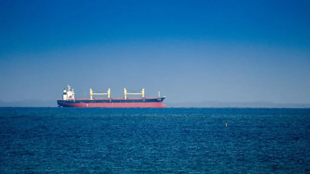 India-Flagged Ship Sinks After Attack In Red Sea, 13 Indian Sailors Rescued