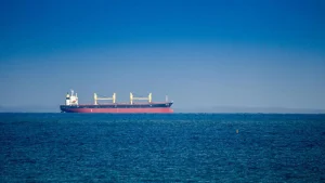 India-Flagged Ship Sinks After Attack In Red Sea, 13 Indian Sailors Rescued