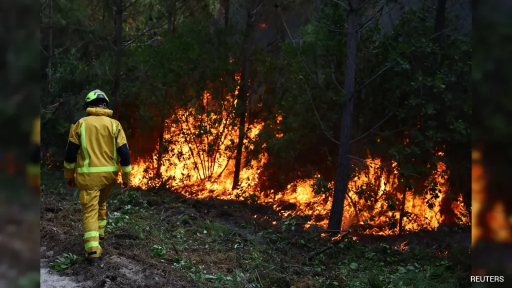 Human-Caused Climate Change Made Europe Wildfires Far More Likely: Scientists