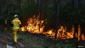 Human-Caused Climate Change Made Europe Wildfires Far More Likely: Scientists