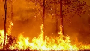 France Battles Wildfire 4 Times The Size Of Paris Amid Record Heatwave