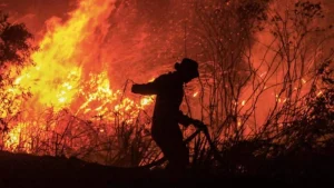 11 Killed In Algerian Orphanage Fire Amid Severe Heatwave