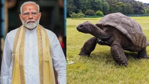 PM Modi Meets World's Oldest Living Land Animal During Seychelles Visit
